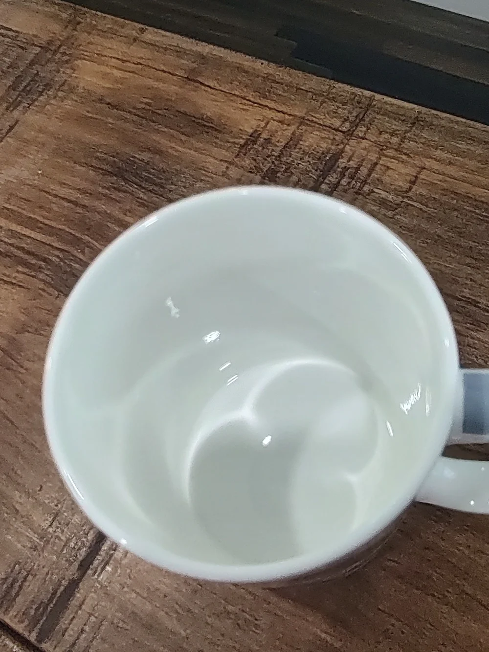 Bird Of Australia Collection Mug By Natalie Jane Parker